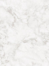 Wrappr NH48 Opal White