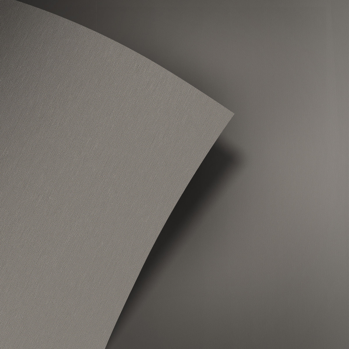 Pluma Silver