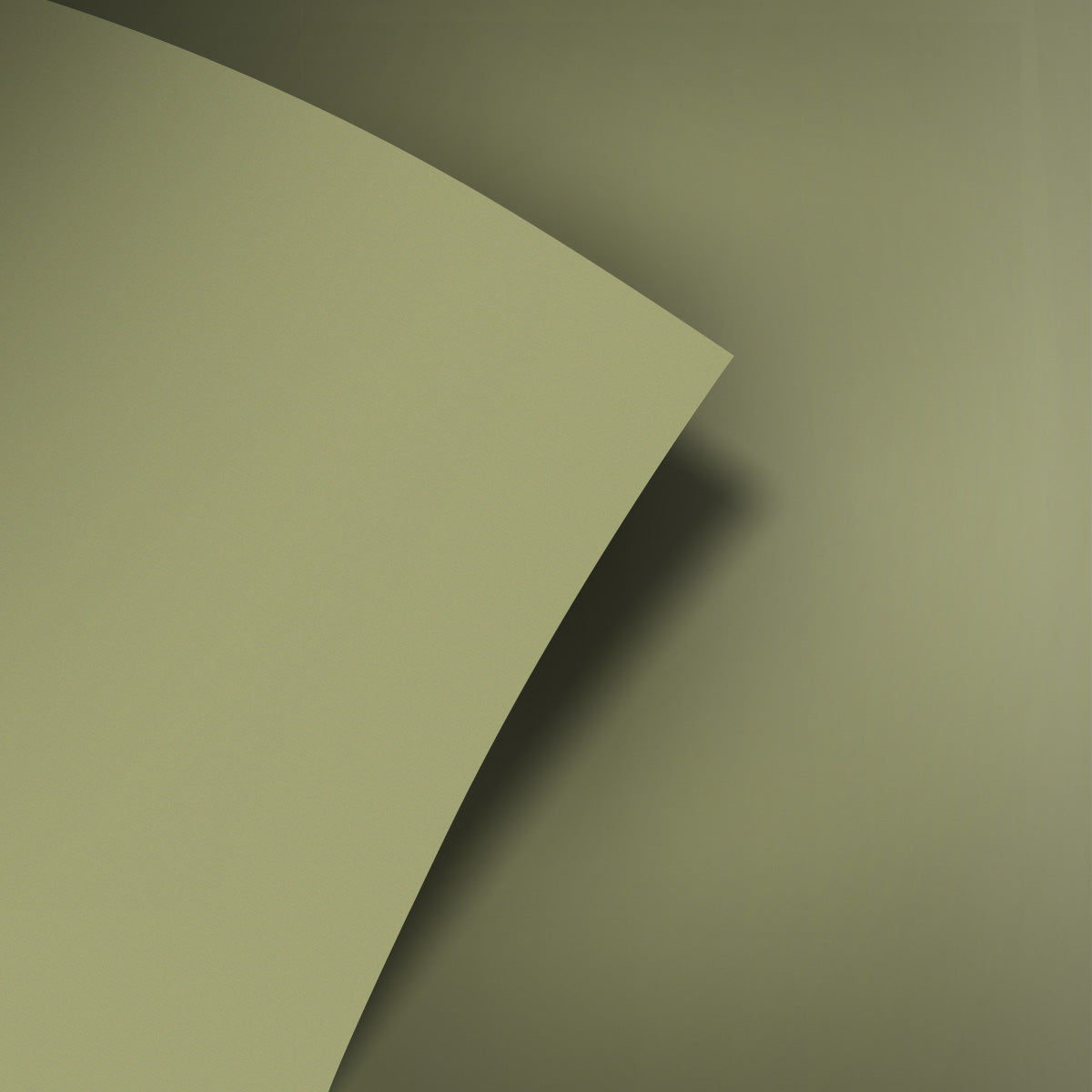 Alga