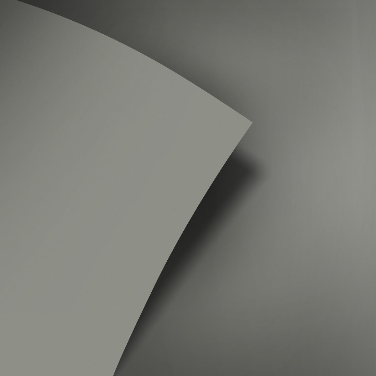 Rhino