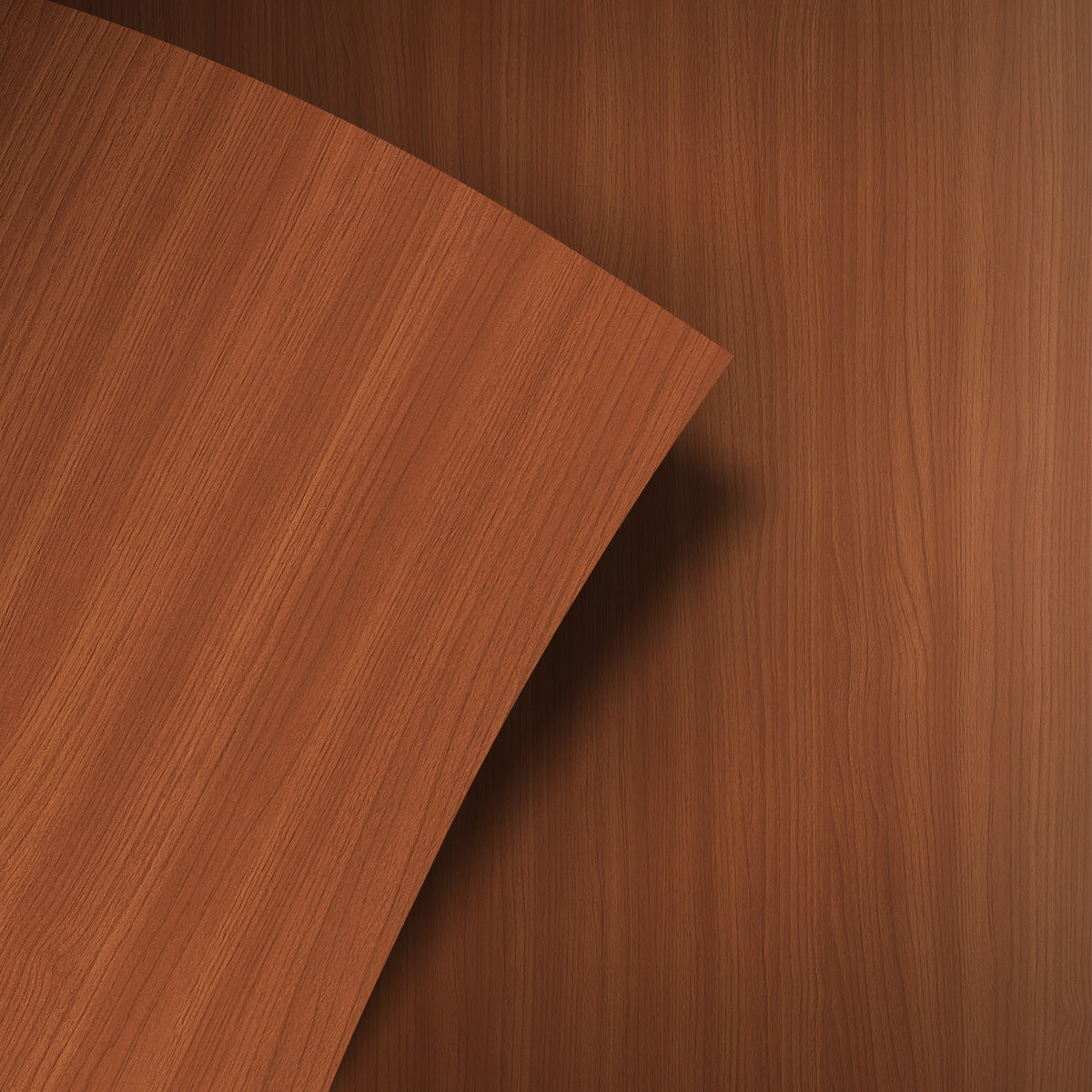 Formica