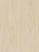 Wrappr CT19 Gold Pale Birch