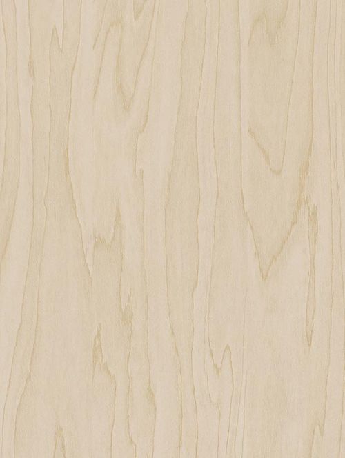 Wrappr CT19 Gold Pale Birch