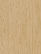 Wrappr CT20 Gold Beige Birch