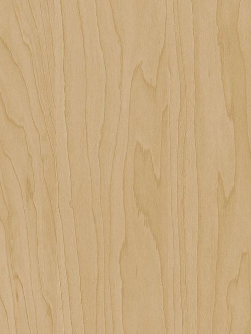 Wrappr CT20 Gold Beige Birch