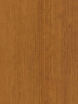 Wrappr CT43 Orangey Noce