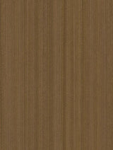 Wrappr CT56 Brown Palm Tree