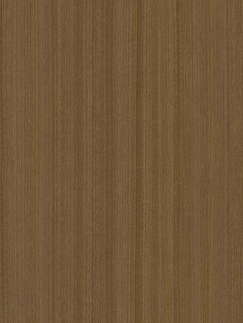 Wrappr CT56 Brown Palm Tree