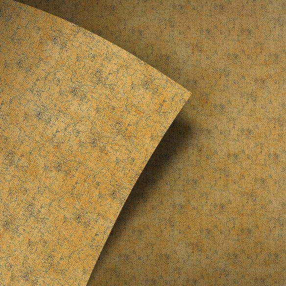 Rajna beton/marmer folie voor keukenfront wrappen Zwolle
