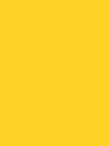 Wrappr M8 Bright Yellow