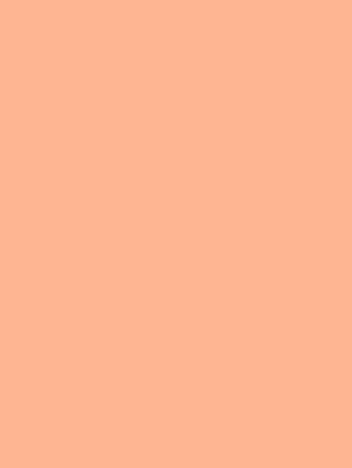 Wrappr NE53 Peach
