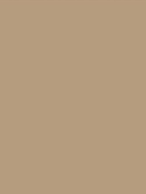 Wrappr NE55 Caffe Latte
