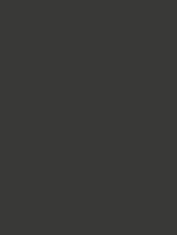 Wrappr NE80 Graphite
