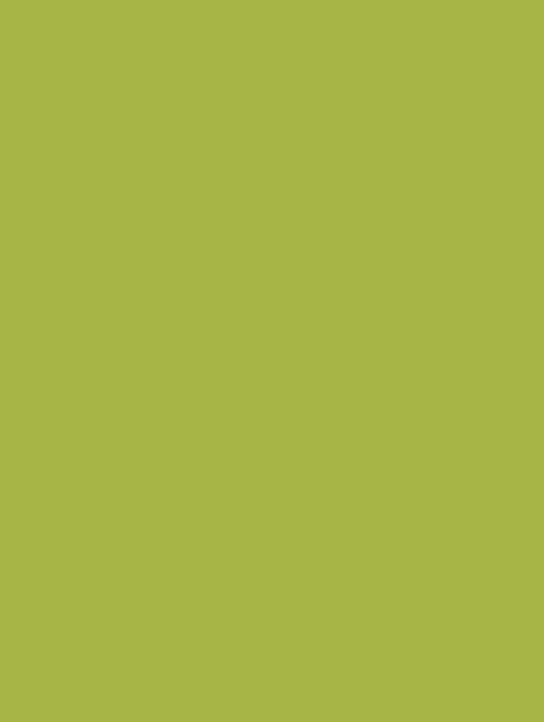 Wrappr NF05 Green Lawn
