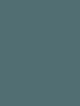 Wrappr NF06 Blues