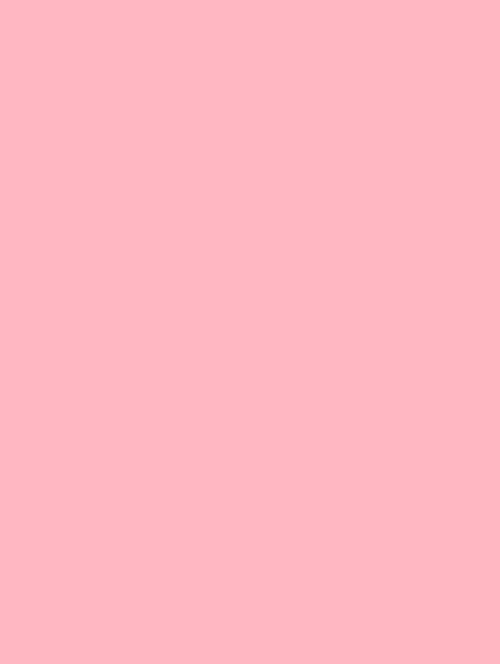 Wrappr NF07 Pink Flamingo