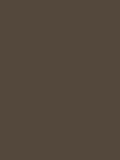 Wrappr NF09 Cacao