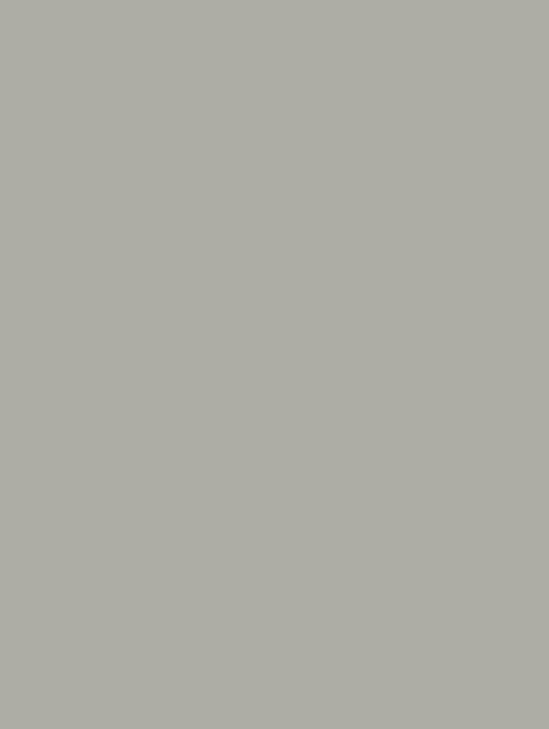 Wrappr NF11 Light Cloud Grey