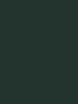 Wrappr NF13 Deep Green