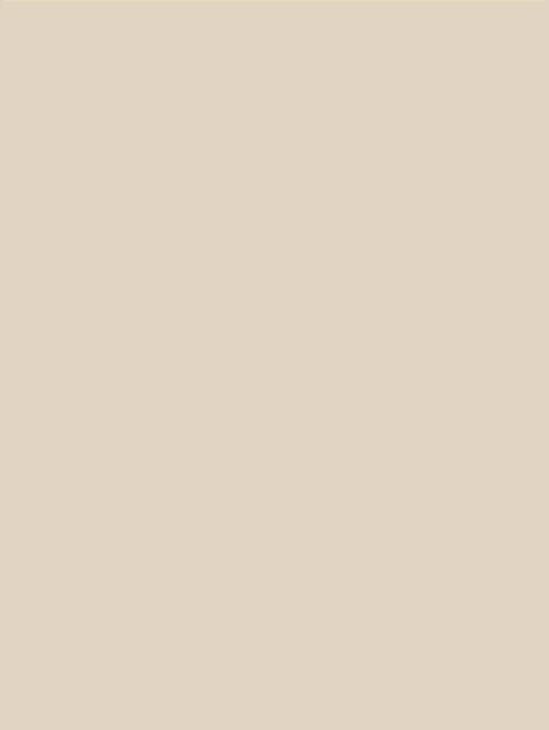 Wrappr NF16 Beige
