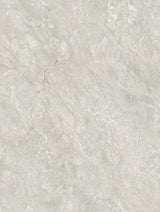 Wrappr NG05 Crema Scura