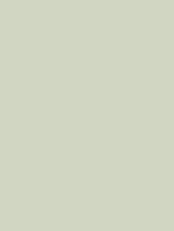 Wrappr NH05 Pistachio Green