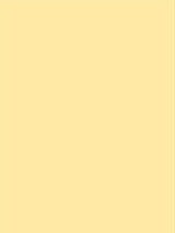 Wrappr NH23 Pale Canary