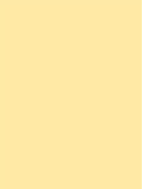 Wrappr NH23 Pale Canary