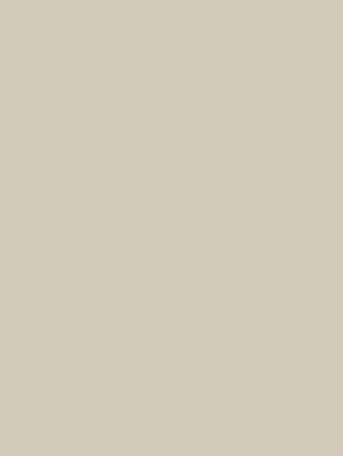 Wrappr RM02 Pearl Grey