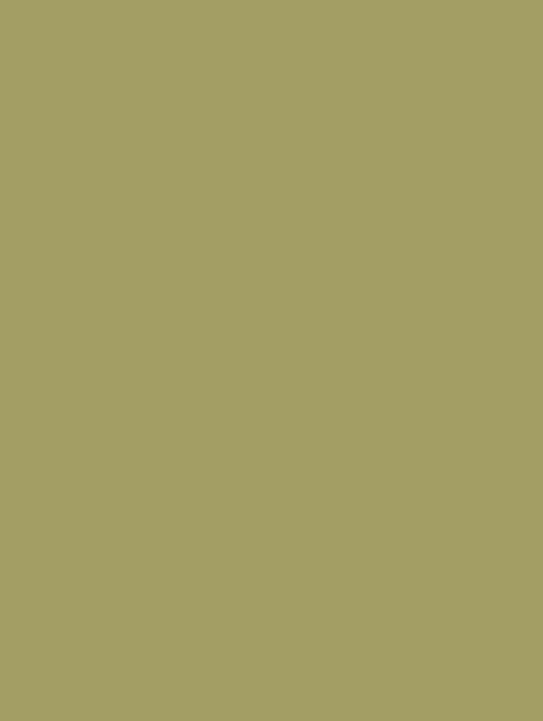 Wrappr RM19 Olive Green