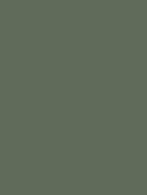 Wrappr RM20 Sage Green