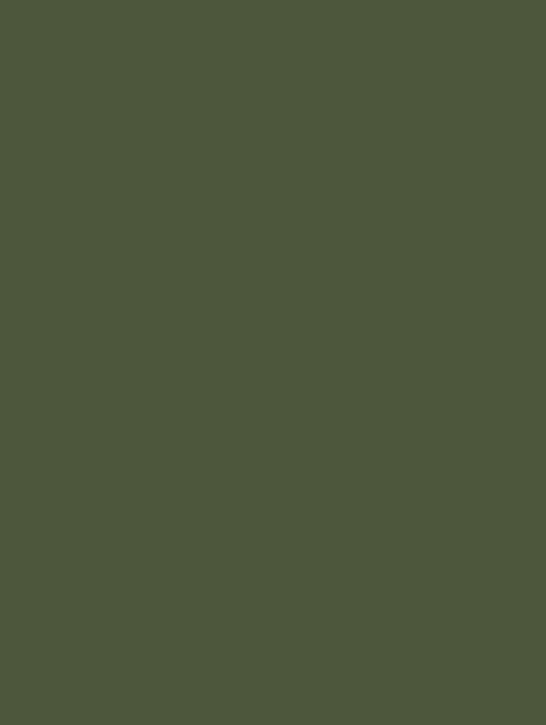 Wrappr RM21 Army Green